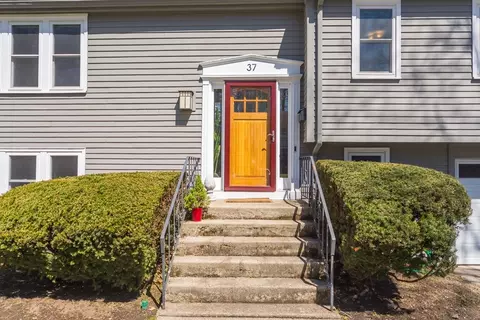 Other - 37 Rivard Rd, Needham, MA 02492 photo 9 of 9