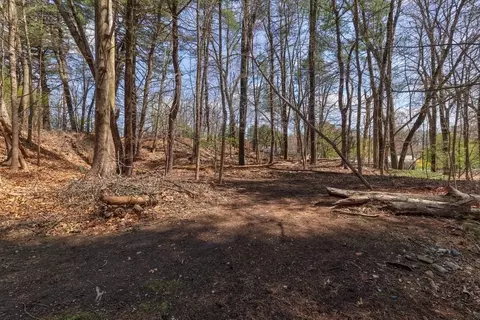 617 Edgell Rd, Framingham, MA 01701 photo 26