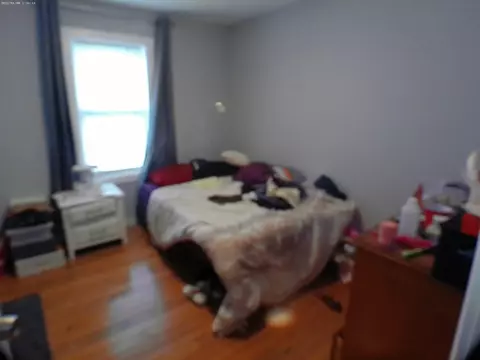 247 Pilgrim Ave, Worcester, MA 01604 photo 15