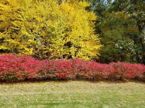 Exterior - 51 Pinecrest Dr #51, Chicopee, MA 01020 photo 3 of 3