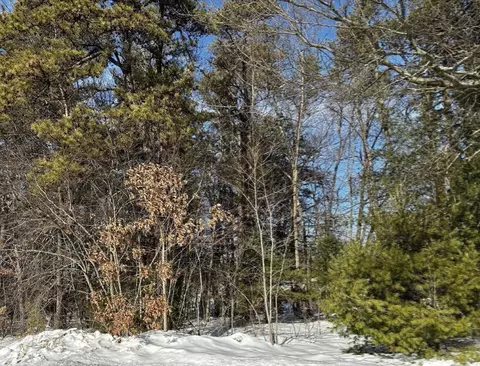 96 Clearbrook Dr, Springfield, MA 01118 photo 38