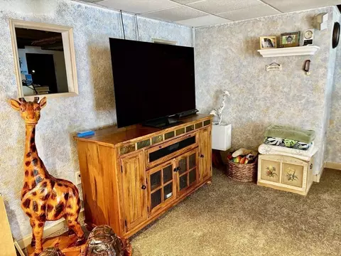 96 Clearbrook Dr, Springfield, MA 01118 photo 31