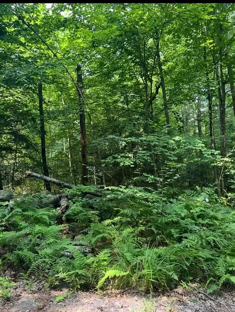 0 Laurel Lake Rd, Royalston, MA 01368