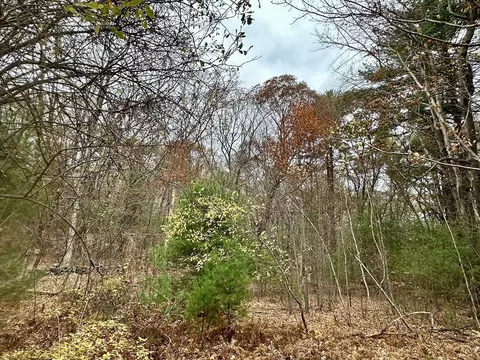 191 Hartness Rd, Sutton, MA 01590 photo 6