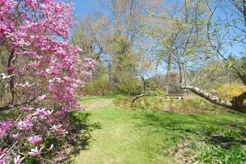 239 Stow Rd, Harvard, MA 01451 photo 33