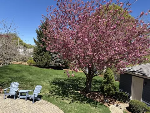 Exterior - 2 Sylvester Ave, Beverly, MA 01915 photo 14 of 14