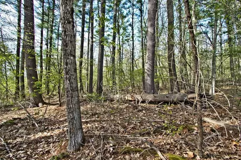 lot B Kiwanis Beach Rd, Upton, MA 01568 photo 2