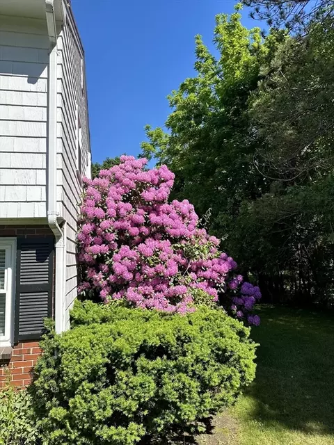 Exterior - 237 River Rd, Andover, MA 01810 photo 6 of 6