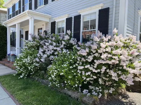 26 Court St #26, Dedham, MA 02026