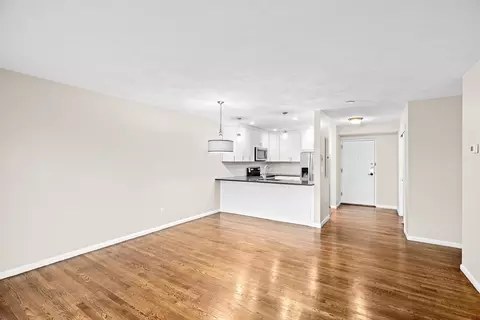 41 Centre #208, Brookline, MA 02446 photo 4