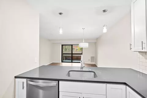 41 Centre #208, Brookline, MA 02446 photo 9