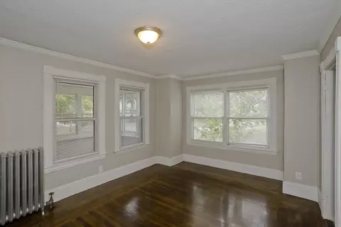 53 Freeman Ter, Springfield, MA 01104 photo 27