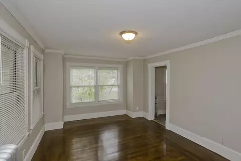53 Freeman Ter, Springfield, MA 01104 photo 28