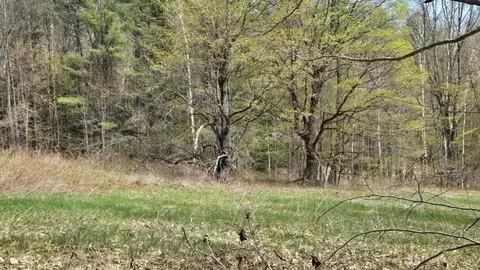 0 W Branch Rd, Heath, MA 01346