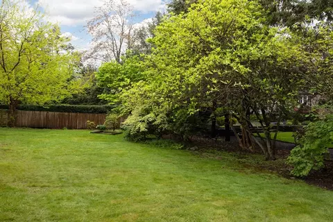 37 Randolph Rd, Chestnut Hill, MA 02467 photo 19