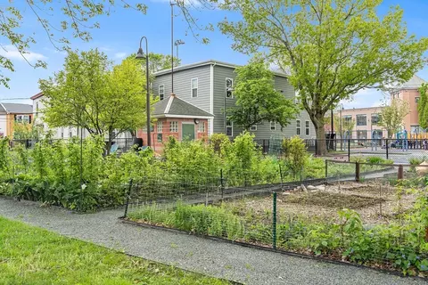 7 Reeds Ct #1, Somerville, MA 02145