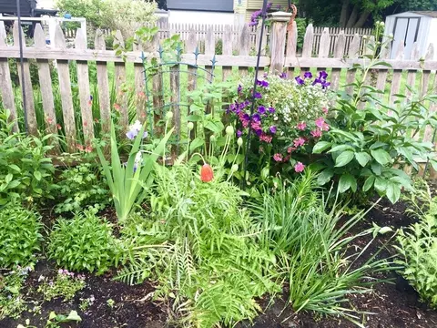 52 Ward Ave #52, Easthampton, MA 01027 photo 39