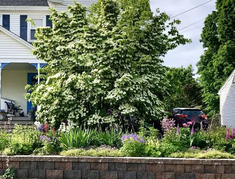 52 Ward Ave #52, Easthampton, MA 01027 photo 42