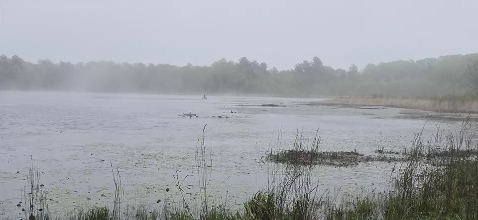 View/Area - 118 Ridge Rd #118, Northborough, MA 01532 photo 2 of 4