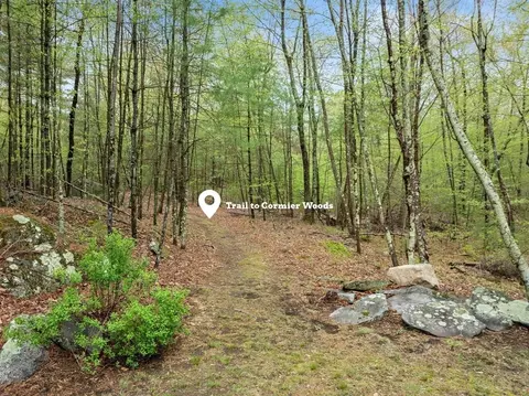 49 Asylum, Mendon, MA 01756 photo 41