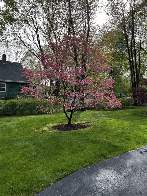 57 Clapp St, Walpole, MA 02081 photo 36