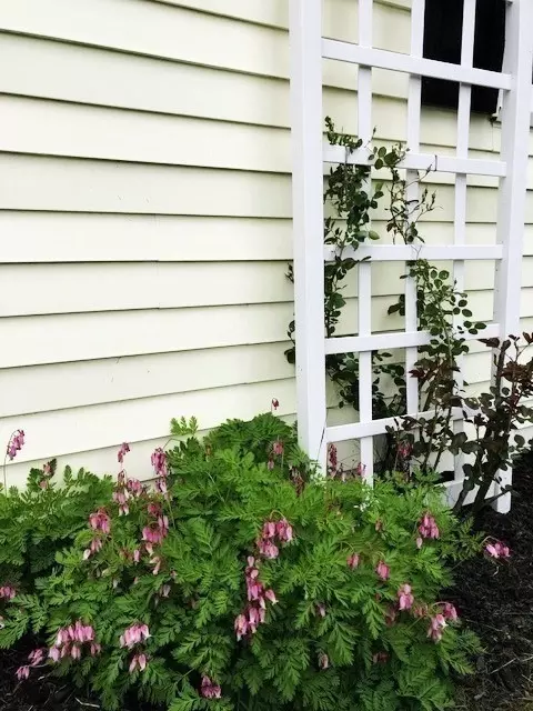 8 Victory Dr, Webster, MA 01570 photo 34