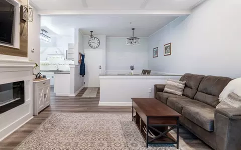 Living - 38 Carter St #112, Everett, MA 02149 photo 5 of 5