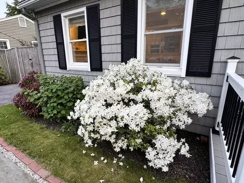 5 Blossom Ln, Gloucester, MA 01930 photo 36