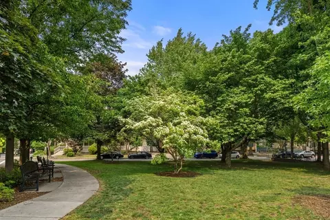 60 Dwight #2, Brookline, MA 02446 photo 18