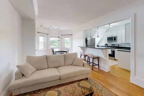 Living - 15 Garrison Rd, Brookline, MA 02445 photo 3 of 3