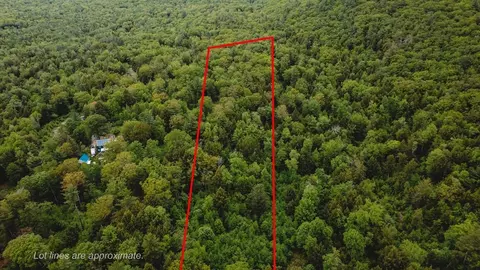 0 Northfield Rd, Warwick, MA 01364 photo 3