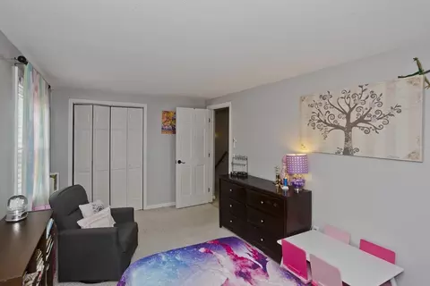 391 Plumtree Rd, Springfield, MA 01118 photo 29