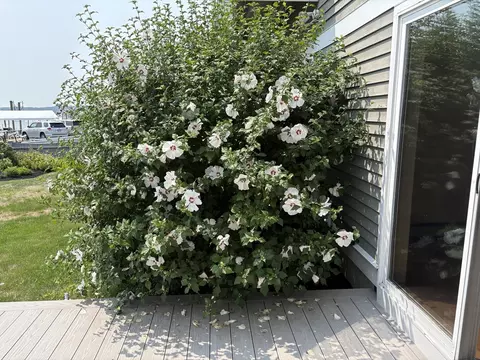 69 E Main #1, Gloucester, MA 01930 photo 29