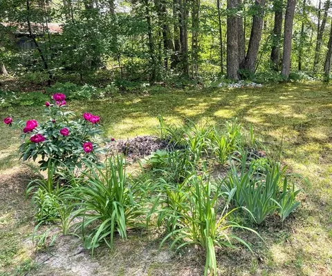 Exterior - 5 Maguire Rd, Ashburnham, MA 01430 photo 4 of 5