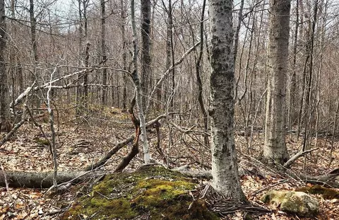 49 67 Shawnee Dr, Heath, MA 01346