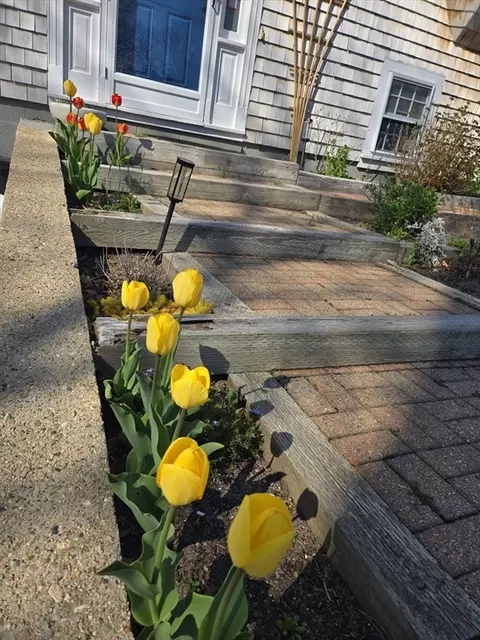 6 Paddock Dr, Harwich, MA 02645 photo 36