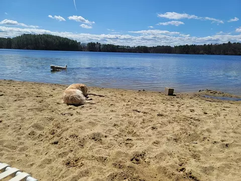 31-33 Mathews Dr, Wayland, MA 01778