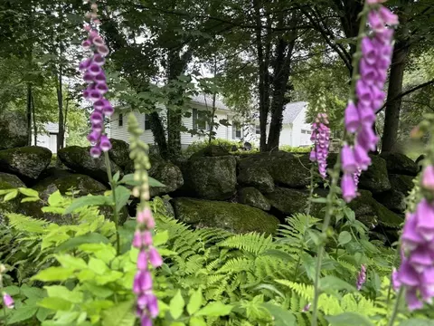 Exterior - 90 Maple St, Douglas, MA 01516 photo 8 of 9