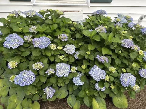 Exterior - 90 Maple St, Douglas, MA 01516 photo 7 of 9