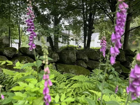 Exterior - 90 Maple St, Douglas, MA 01516 photo 9 of 9