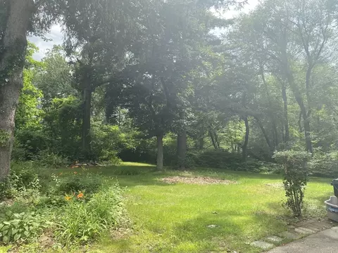 Exterior - 107 Rollins St, Springfield, MA 01109 photo 2 of 3
