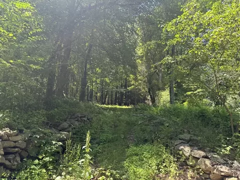 87 Ayer Rd, Harvard, MA 01451 photo 5