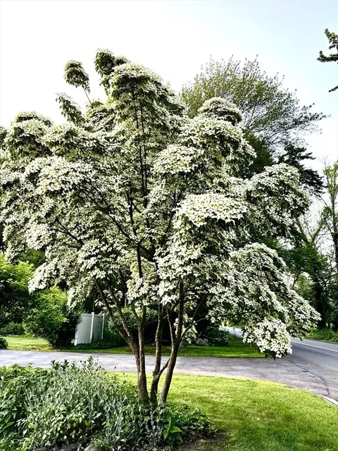 Other - 1 Burnham Ln, Danvers, MA 01923 photo 4 of 5