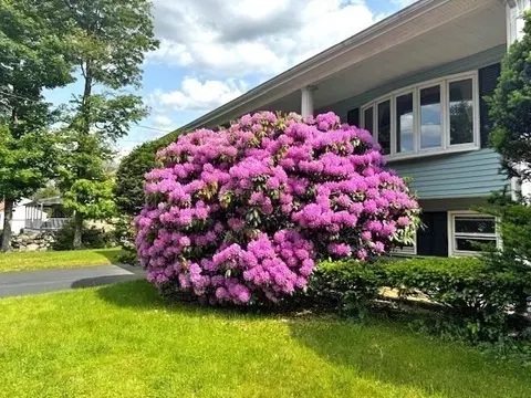 Exterior - 18 Ash St, Webster, MA 01570 photo 3 of 8