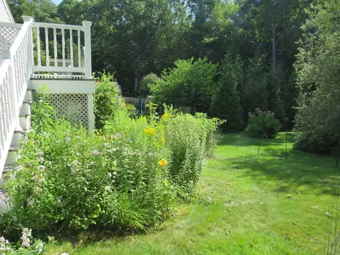 Exterior - 1063 Washington St, Canton, MA 02021 photo 9 of 9