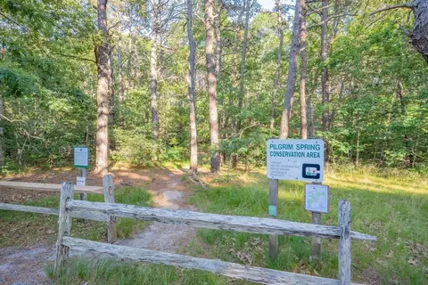 295 Cove View Rd, Wellfleet, MA 02667 photo 6