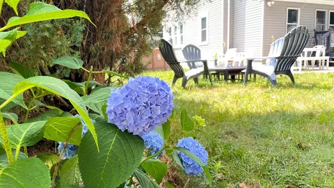 103 Audubon, Springfield, MA 01108 photo 36