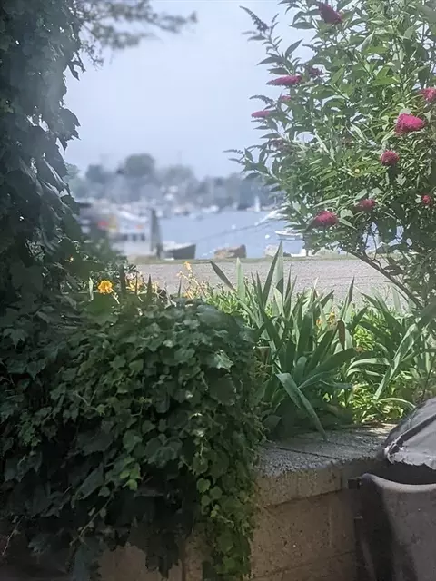 View/Area - 5 Pirates Ln #B, Gloucester, MA 01930 photo 3 of 3