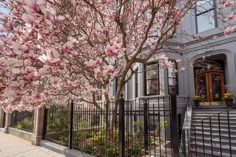 168 Beacon St #1, Boston, MA 02116