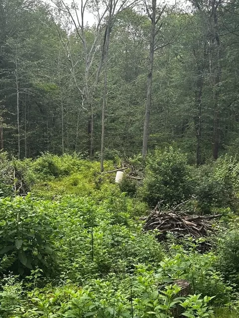 345 W Sutton Rd, Sutton, MA 01590 photo 2